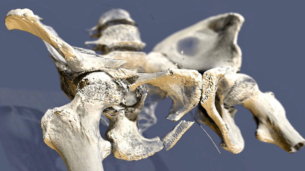 79433217_1460193297496539_7246344143205564416_o